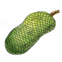 398 - 尖必打/菠萝蜜/尖不辣
尖必打/菠蘿蜜/尖不辣
Jackfruit/Cempedak