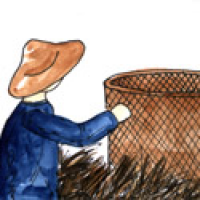 496 - 收谷/收稻米/收栗
收谷/收稻米/收栗
Collect Rice/Keep Rice