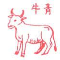 017 - 牛/青牛
牛/青牛
Bull