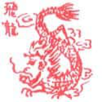 001 - 飞龙/龙
飛龍/龍
Dragon