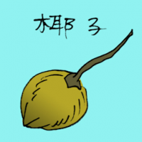3710 - 椰子
椰子
Green Coconut