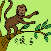0538 - 猴子
猴子
Monkey