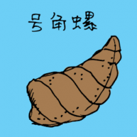 1459 - 号角螺
號角螺
Spiral Shell