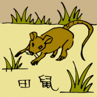 0563 - 田鼠
田鼠
Field Mouse