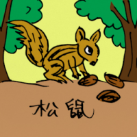 0539 - 松鼠
松鼠
Squirrel