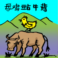 0043 - 母鸡站牛背
母雞站牛背
Hen Sitting On Cow