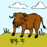 0545 - 野牛
野牛
Wild Ox