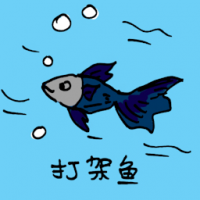 0653 - 斗鱼/打架鱼
鬥魚/打架魚
Fighting Fish