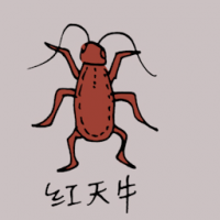 0796 - 红天牛
紅天牛
Red Milkweed Beetle