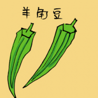 3666 - 羊角豆/秋葵
羊角豆/秋葵
Ladies Fingers