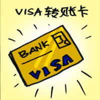 7215 - VISA转账卡
VISA轉賬卡
VISA Debit Card