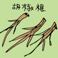 3958 - 辣椒根
辣椒根
Pepper Root