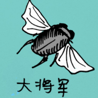 0794 - 大将军
大將軍
General Bee