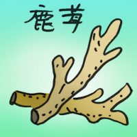 4985 - 鹿茸/鹿角
鹿茸/鹿角
Antler