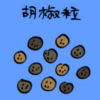 3839 - 胡椒粒
胡椒粒
Pepper