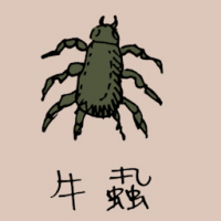 0798 - 牛虱/牛跳蚤
牛蝨/牛跳蚤
Cow Flea