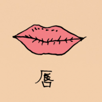 0837 - 唇
唇
Lips