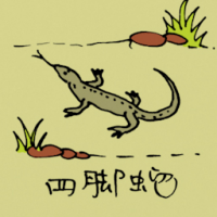 0512 - 四脚蛇
四腳蛇
Lizard