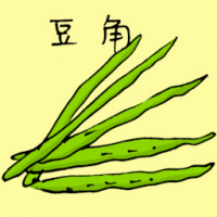 3686 - 豆角
豆角
Long Bean