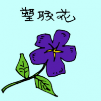 1572 - 塑料花
塑料花
Plastic Flowers