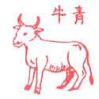 017 - 牛/青牛
牛/青牛
Bull