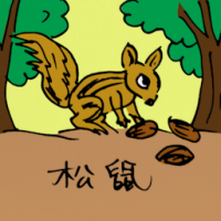 0539 - 松鼠
松鼠
Squirrel