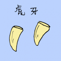 1576 - 虎牙
虎牙
Tigers Tooth