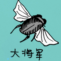 0794 - 大将军
大將軍
General Bee