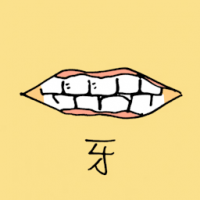 0834 - 牙
牙
Teeth